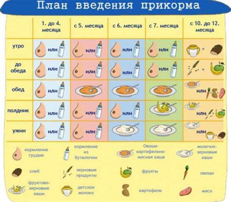 Расписание прикорма и кормления в первые дни