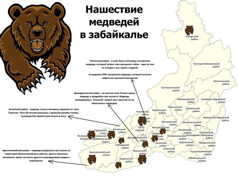 Распространение и численность медведей в регионе