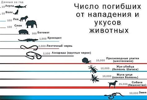 Распространение ужей и статистика укусов