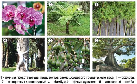 Растения и флора