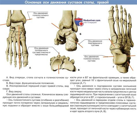 Растущие кости и суставы