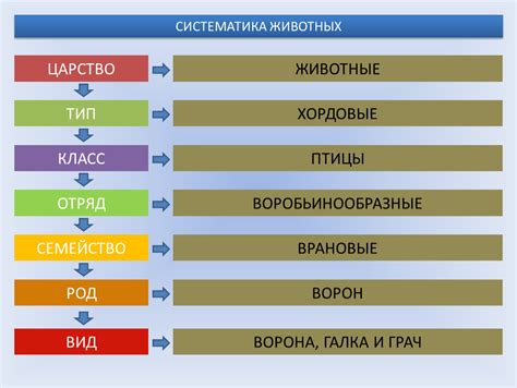 Расцвет энергии в живой форме: от растений до животных