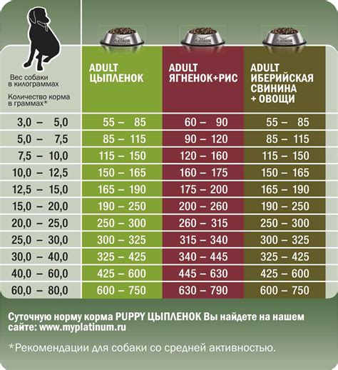 Расчет дневной нормы корма для собаки