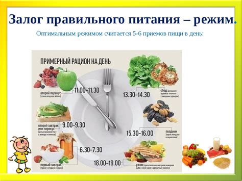 Рацион вечернего приема пищи: важность учета креветок