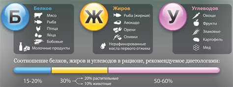 Рацион сирийского хомяка: идеальное соотношение белков, жиров и углеводов