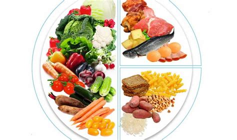 Рацион щенка: сбалансированное питание vs. сырое мясо