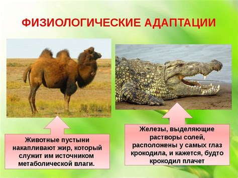 Реальные способности змей и их адаптация к среде обитания