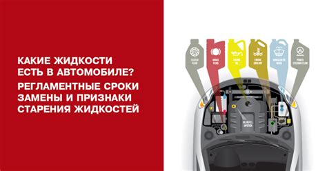 Регламентные сроки замены