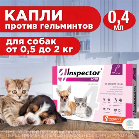 Регулярный осмотр и обработка животного от блох