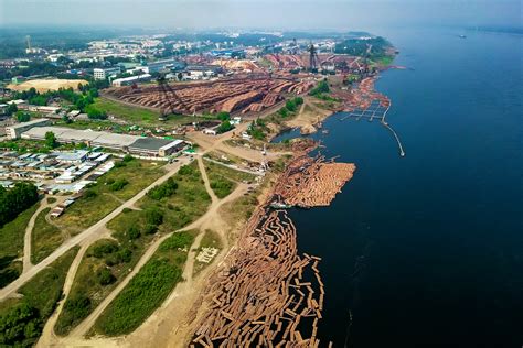 Результаты пилиповки в 2022 году и их влияние на лесопромышленный комплекс
