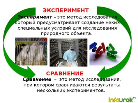 Результаты экспериментов: сравнение свежего теста и теста после хранения