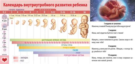Рекомендации врачей по движению малыша в утробе