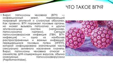 Рекомендации для защиты от вируса папилломы типа 16
