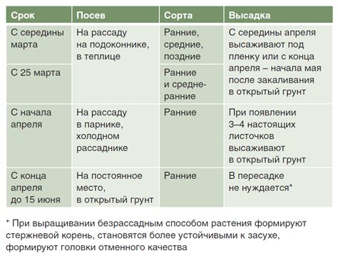 Рекомендации для оптимального срока окучивания