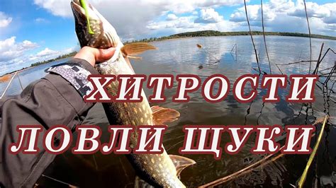 Рекомендации для успешной рыбалки на щуку: