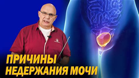 Рекомендации и мифы о передаче мочи