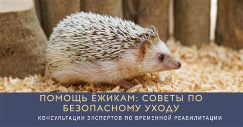 Рекомендации по безопасному уходу за ушами