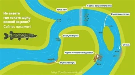 Рекомендации по выбору места для рыбной ловли в море
