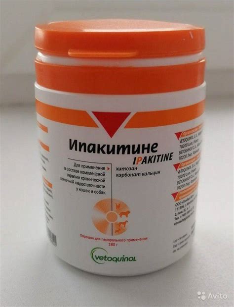 Рекомендации по выбору противоаллергического препарата для кошки