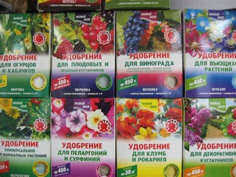 Рекомендации по грунту и удобрениям