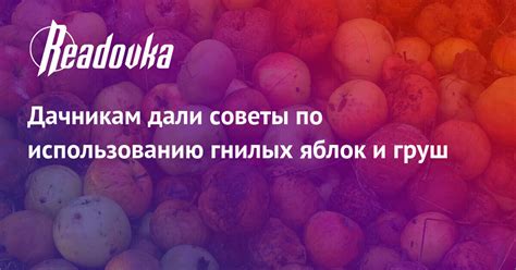 Рекомендации по использованию гнилых яблок в компосте