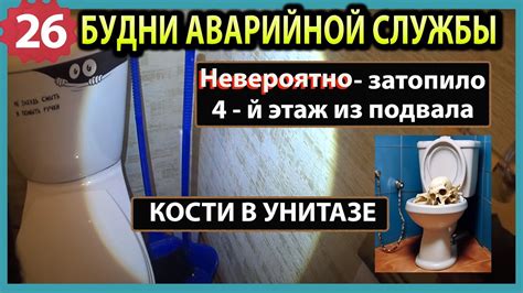 Рекомендации по использованию горячей воды в унитазе