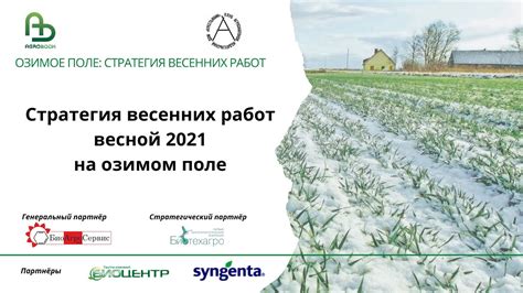 Рекомендации по количеству подкормки