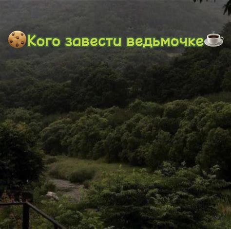 Рекомендации по пересадке