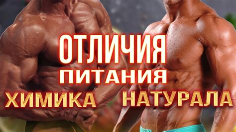 Рекомендации по питанию и гидратации во время тренировок