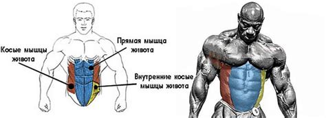 Рекомендации по подвязыванию живота