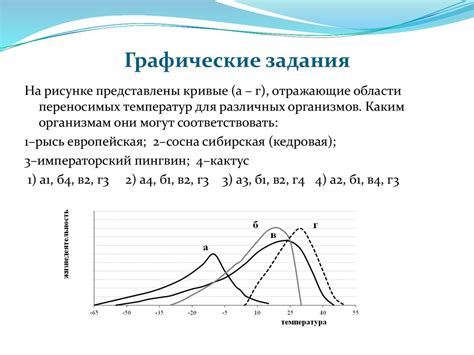 Рекомендации по подготовке к флюорографии