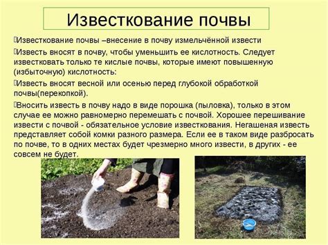 Рекомендации по правильном раскислении почвы пушонкой