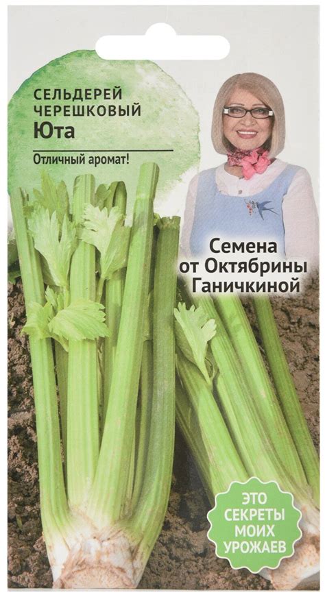 Рекомендации по уборке черешкового сельдерея