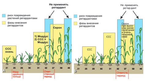 Рекомендации по удобрению