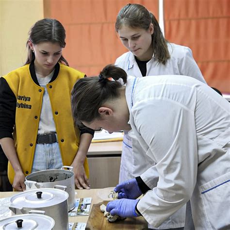 Рекомендации по употреблению кормовой серы
