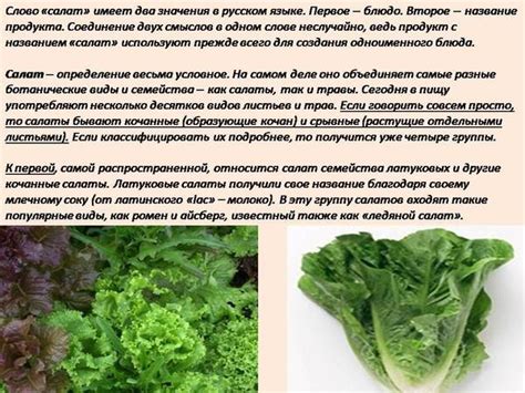 Рекомендации по употреблению листьев салата при грудном вскармливании