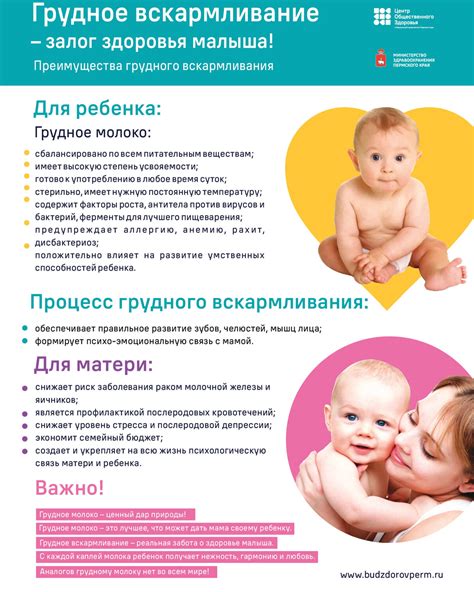 Рекомендации по употреблению фасоли в период грудного вскармливания