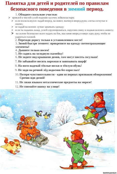 Рекомендации по уходу в зимний период