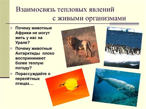Рельеф местности и его взаимосвязь с живыми организмами