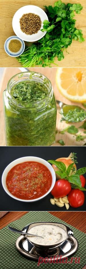 Рецепты засолки кинзы