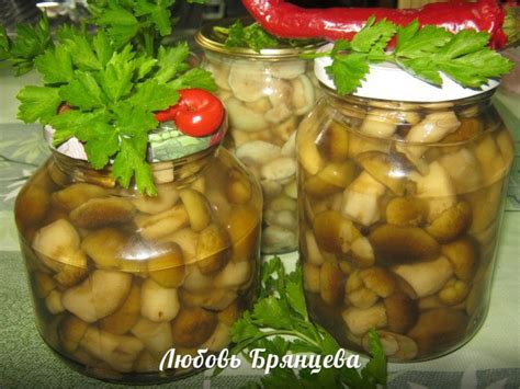 Рецепт заготовки грибов на зиму с уксусом