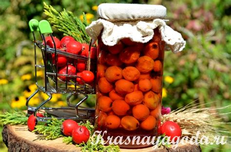 Рецепт приготовления варенья из ягод боярышника