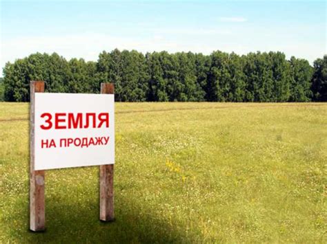 Риски при продаже участка без межевания