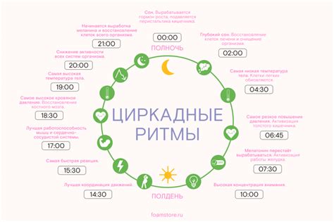 Ритм сна и продуктивность