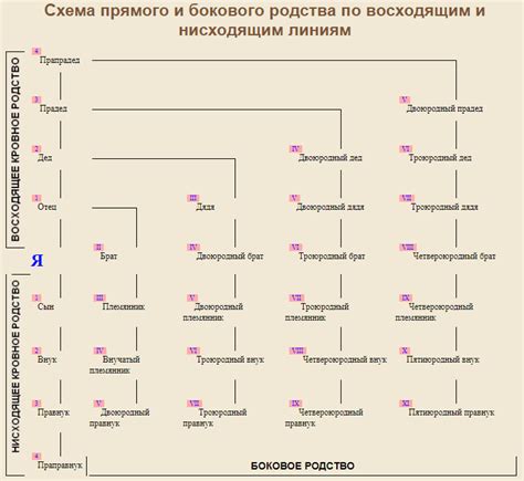 Родство по закону: определение и особенности