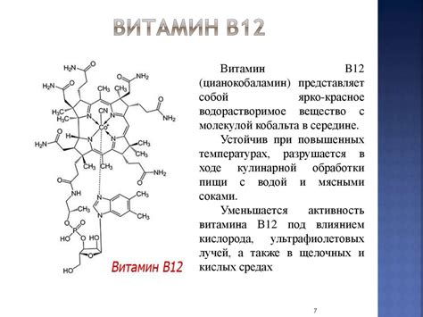 Ролевое значение витаминов В6 и В12 в организме