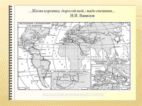 Ролевые экспедиции и коллекционирование образцов