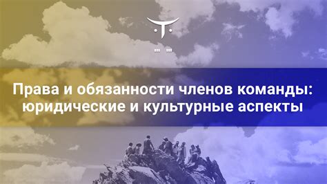Роли и обязанности членов состава команды