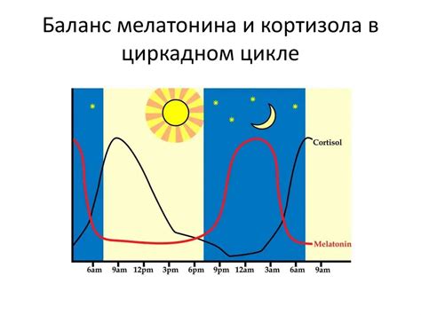 Роли циркадианных ритмов и мелатонина в усталости утром