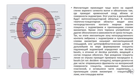Роль времени года в развитии птенцов
